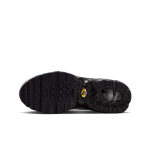 Nike Air Max Plus "Tuned" Silver